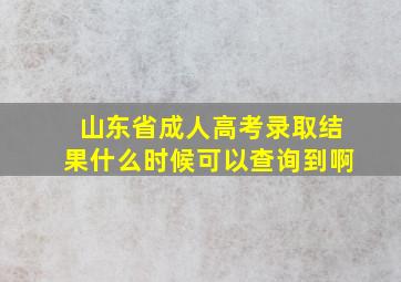 山东省成人高考录取结果什么时候可以查询到啊