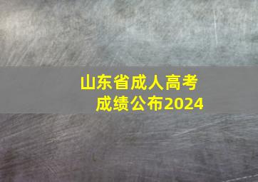 山东省成人高考成绩公布2024