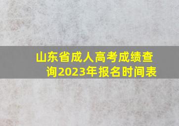 山东省成人高考成绩查询2023年报名时间表