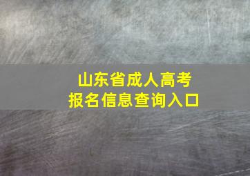 山东省成人高考报名信息查询入口