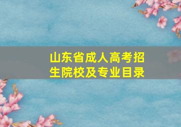 山东省成人高考招生院校及专业目录