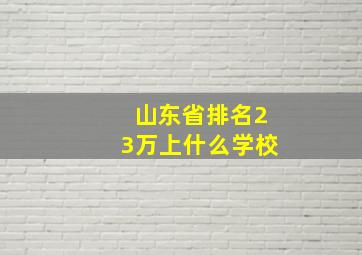 山东省排名23万上什么学校