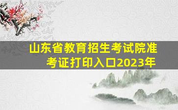 山东省教育招生考试院准考证打印入口2023年