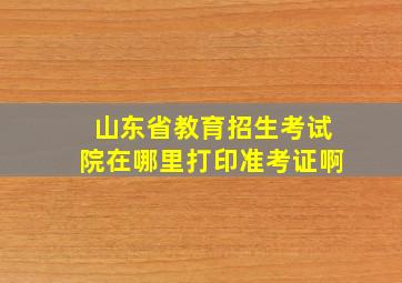 山东省教育招生考试院在哪里打印准考证啊