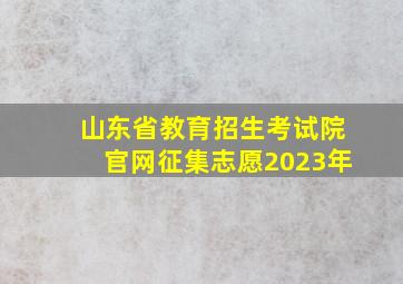 山东省教育招生考试院官网征集志愿2023年