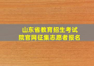 山东省教育招生考试院官网征集志愿者报名