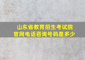 山东省教育招生考试院官网电话咨询号码是多少