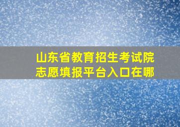 山东省教育招生考试院志愿填报平台入口在哪