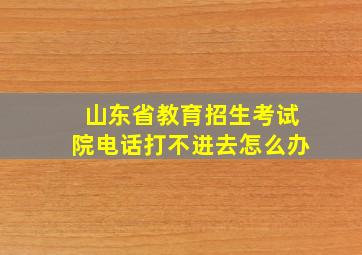 山东省教育招生考试院电话打不进去怎么办