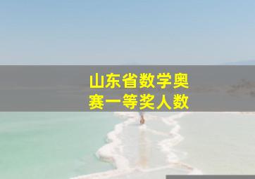 山东省数学奥赛一等奖人数