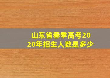 山东省春季高考2020年招生人数是多少