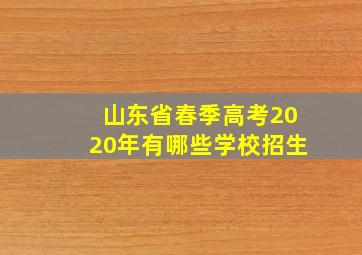 山东省春季高考2020年有哪些学校招生