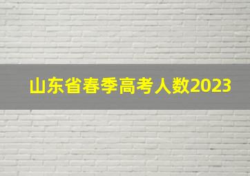 山东省春季高考人数2023