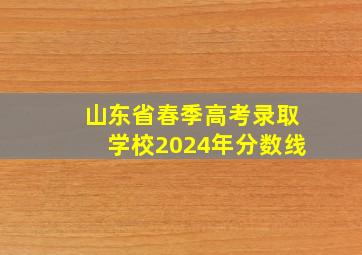 山东省春季高考录取学校2024年分数线