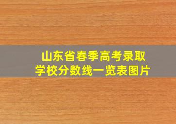 山东省春季高考录取学校分数线一览表图片