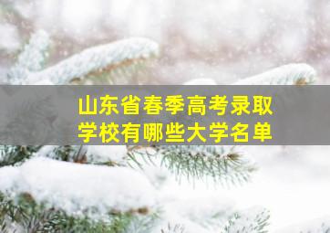 山东省春季高考录取学校有哪些大学名单