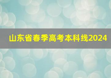 山东省春季高考本科线2024