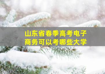 山东省春季高考电子商务可以考哪些大学