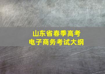 山东省春季高考电子商务考试大纲