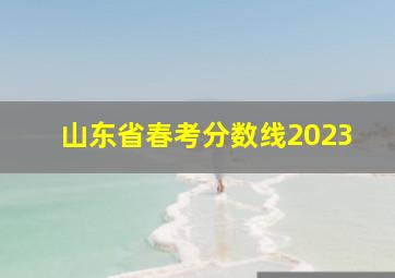 山东省春考分数线2023