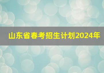 山东省春考招生计划2024年