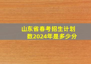 山东省春考招生计划数2024年是多少分