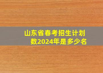 山东省春考招生计划数2024年是多少名