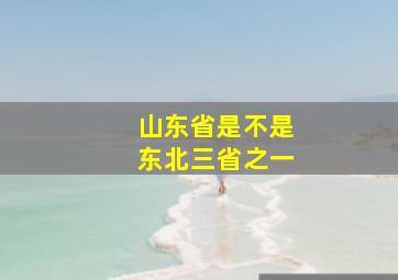 山东省是不是东北三省之一