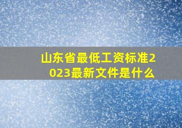 山东省最低工资标准2023最新文件是什么