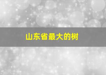 山东省最大的树