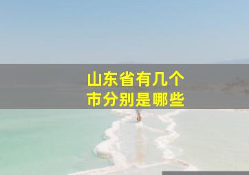 山东省有几个市分别是哪些