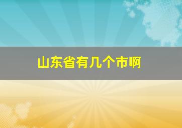 山东省有几个市啊