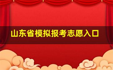 山东省模拟报考志愿入口