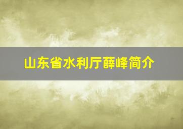 山东省水利厅薛峰简介