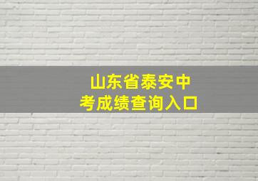 山东省泰安中考成绩查询入口