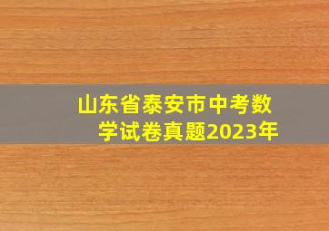 山东省泰安市中考数学试卷真题2023年