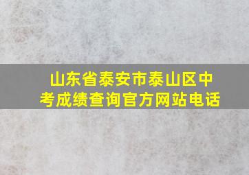 山东省泰安市泰山区中考成绩查询官方网站电话