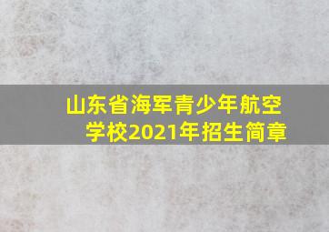 山东省海军青少年航空学校2021年招生简章