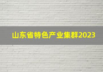 山东省特色产业集群2023