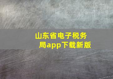 山东省电子税务局app下载新版