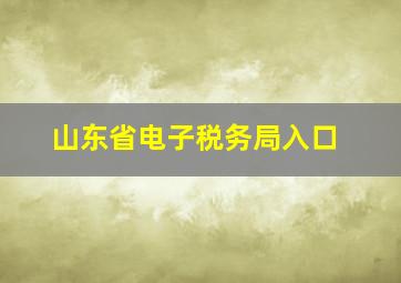 山东省电子税务局入口