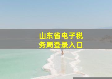 山东省电子税务局登录入口