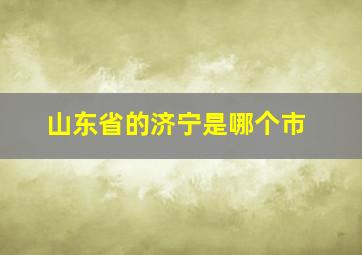 山东省的济宁是哪个市