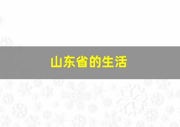 山东省的生活