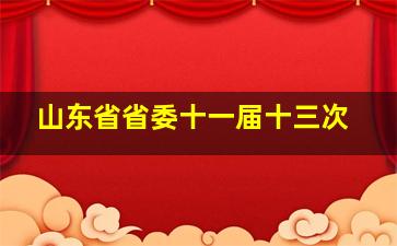 山东省省委十一届十三次