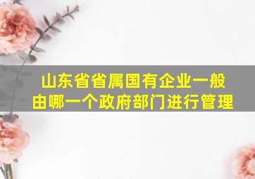 山东省省属国有企业一般由哪一个政府部门进行管理