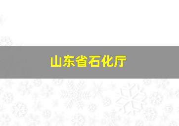 山东省石化厅