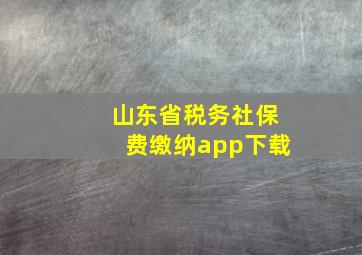 山东省税务社保费缴纳app下载