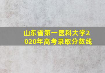 山东省第一医科大学2020年高考录取分数线