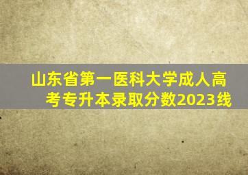 山东省第一医科大学成人高考专升本录取分数2023线